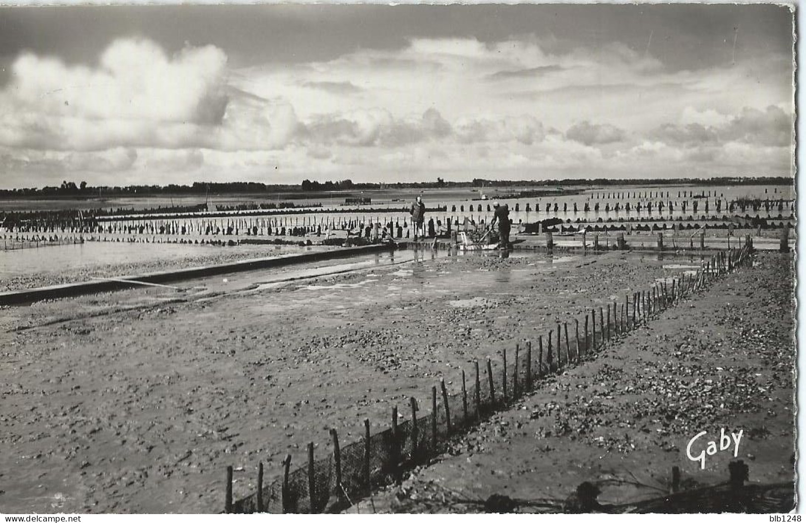 [85] Vendée >  La Tranche Sur Mer  Le Parc A Huitres - La Tranche Sur Mer