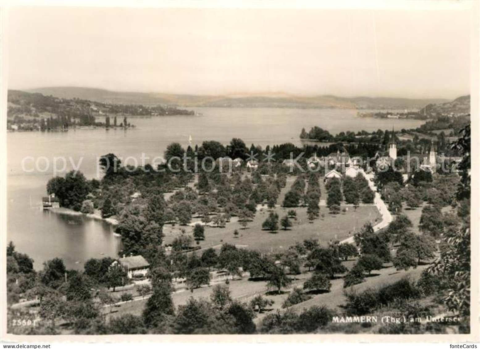 13155862 Mammern Panorama Untersee Bodensee Mammern - Sonstige & Ohne Zuordnung