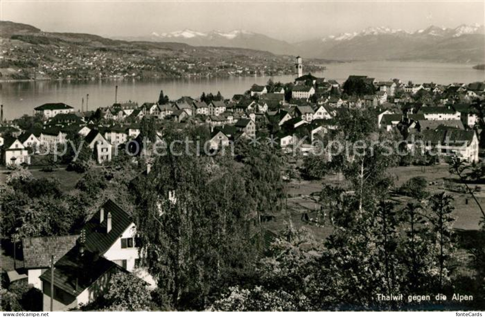 13154182 Thalwil Seepartie Mit Alpen Thalwil - Andere & Zonder Classificatie