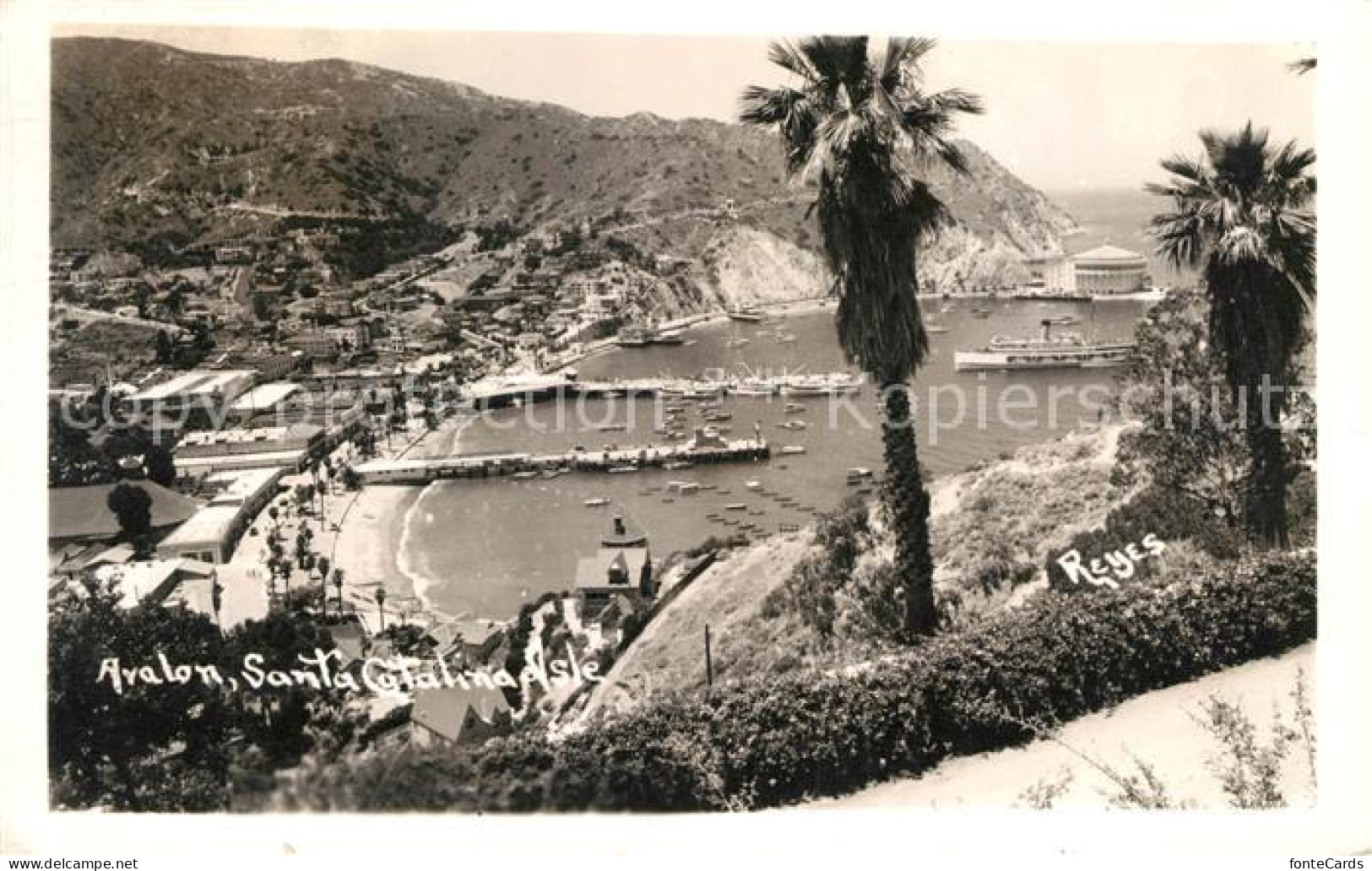 13153172 Avalon_California Panorama Harbour - Andere & Zonder Classificatie