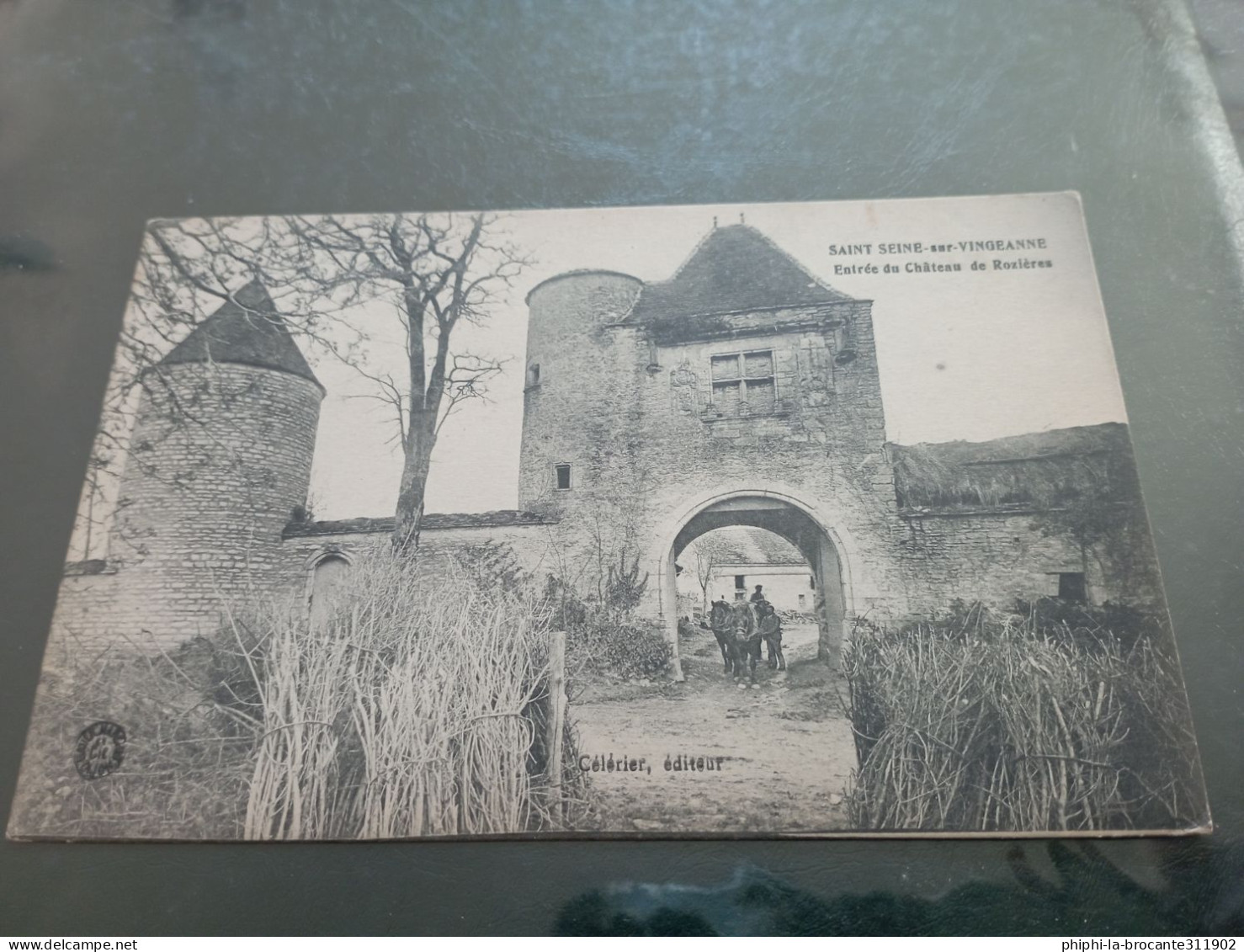 B1/121- SAINT-SEINE-SUR-VINGEANNE- Entrée Du Château De Rozière - Autres & Non Classés