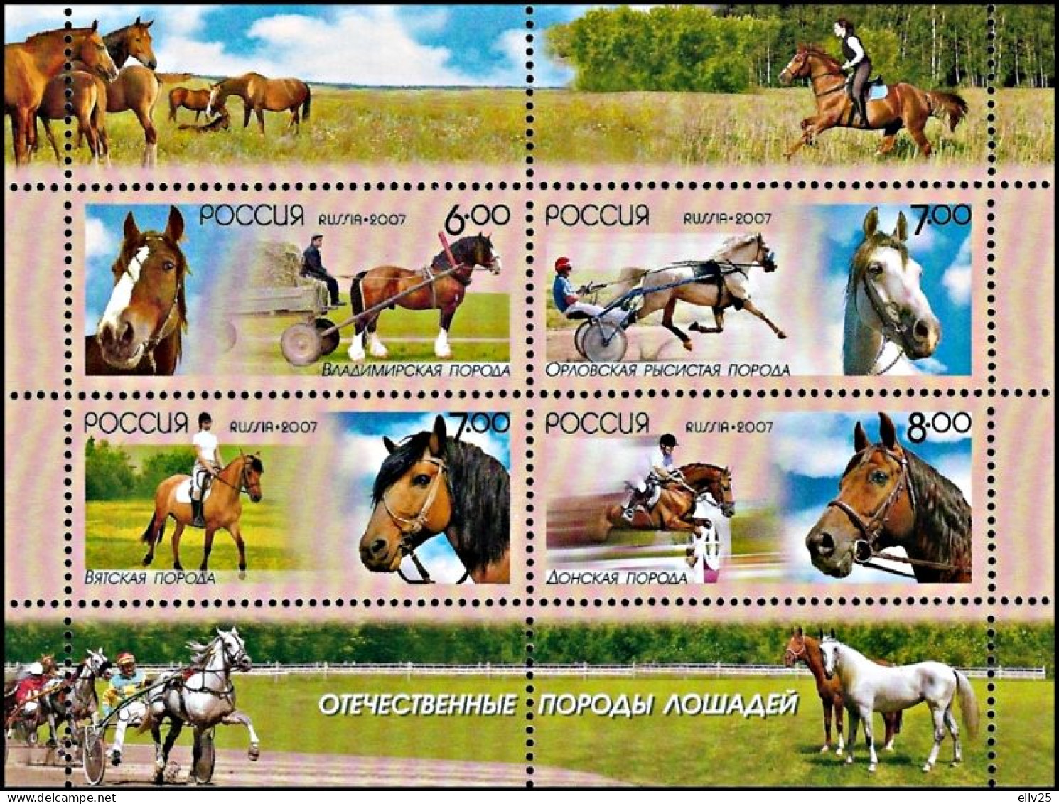 Russia 2007, Horse Breeds - S/s MNH - Cavalli