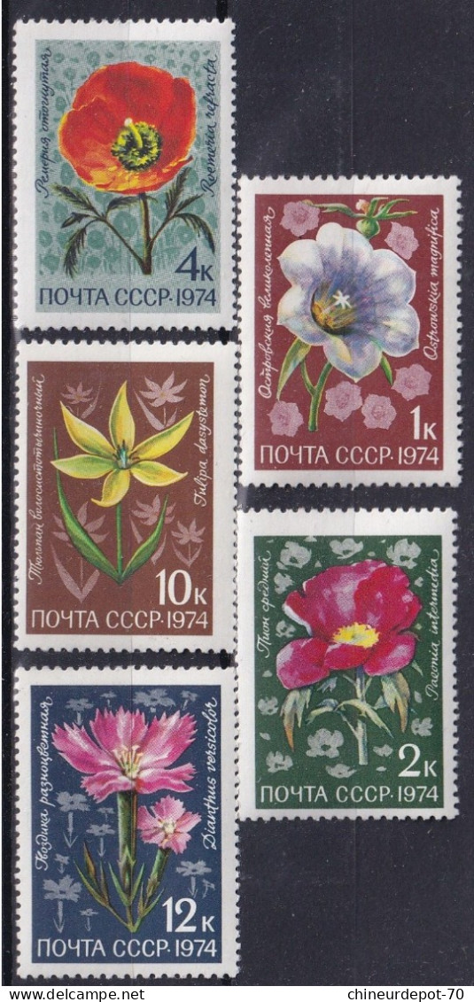 Cccp Russie 1974 Fleurs Flowers  Neufs Sans Charnières ** - Nuevos