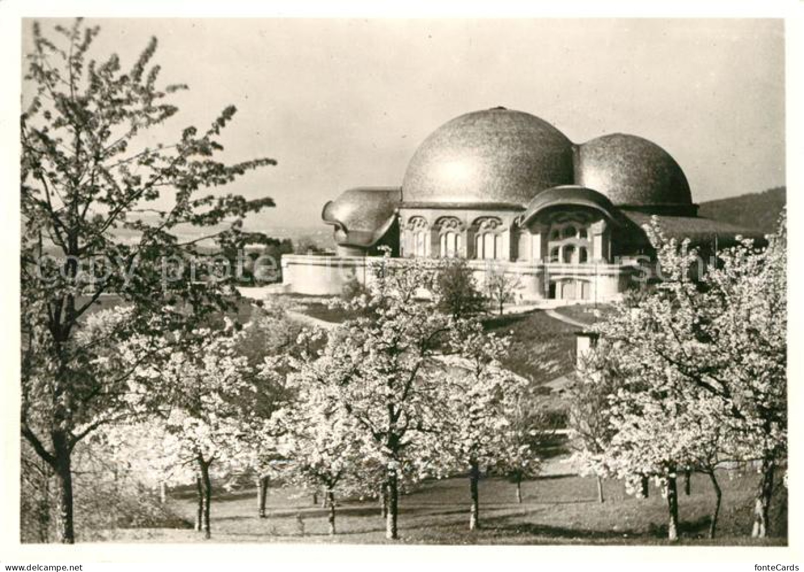 13146751 Dornach SO Goetheanum Freie Hochschule Fuer Geisteswissenschaft Baumblu - Sonstige & Ohne Zuordnung