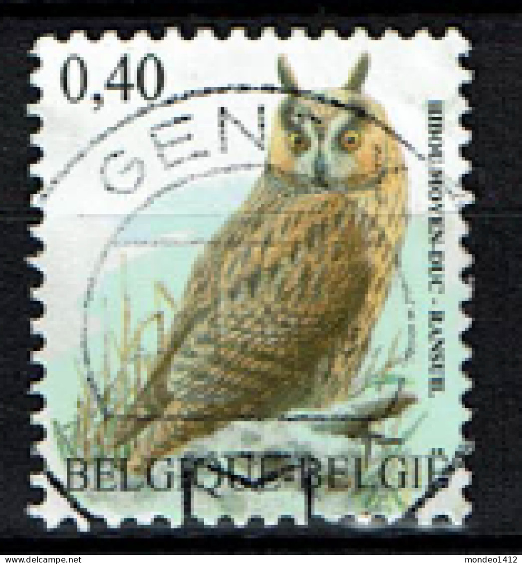 België OBP 3737 - Vogels, Oiseaux, Ransuil, Hibou Moyen-duc, Centrale Stempel - Gebruikt