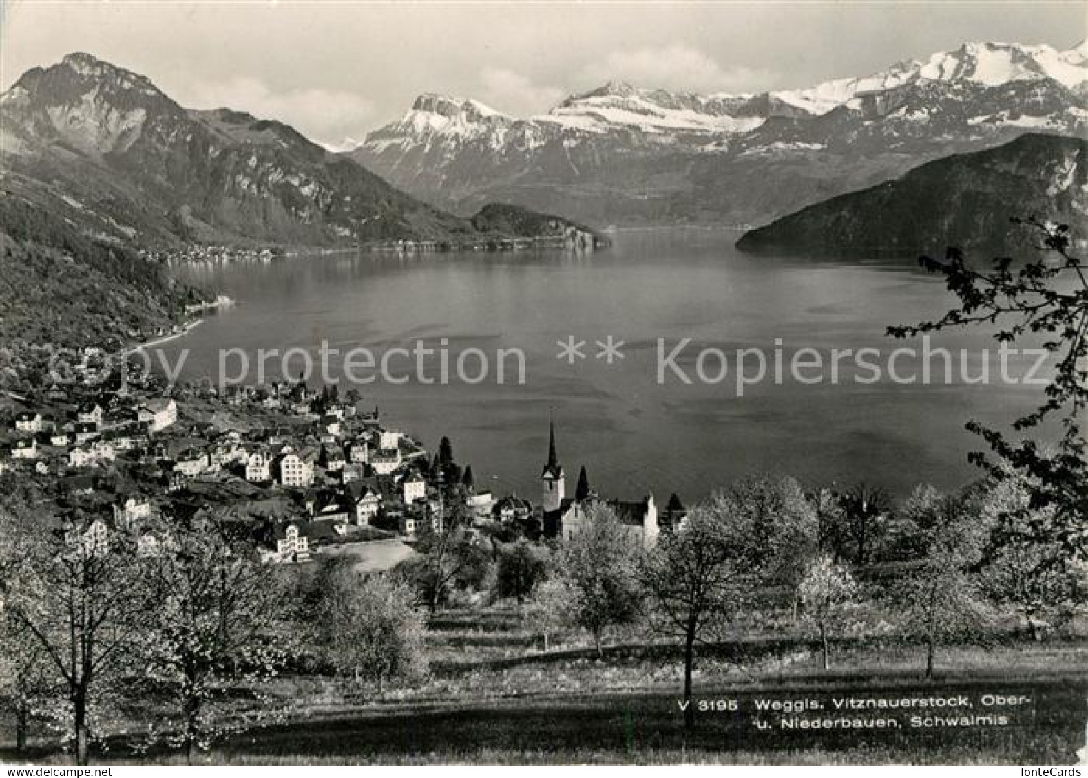 13145170 Weggis Vierwaldstaettersee Mit Vitznauerstock Ober Und Niederbauen Schw - Other & Unclassified