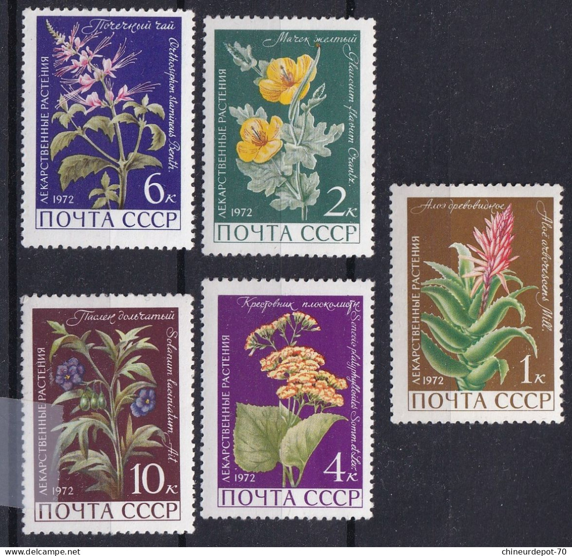 Cccp Russie 1972 Fleurs Flowers  Neufs Sans Charnières ** - Unused Stamps