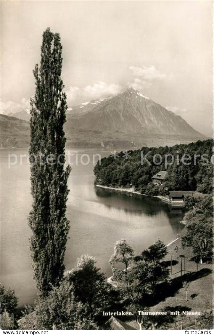 13143064 Interlaken BE Thunersee Mit Niesen Fliegeraufnahme Interlaken - Autres & Non Classés