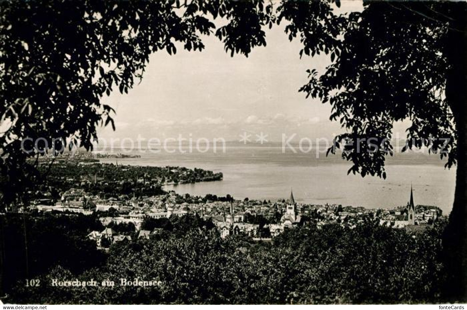 13143048 Rorschach Bodensee Panorama Blick Zu Den Alpen Rorschach Bodensee - Sonstige & Ohne Zuordnung