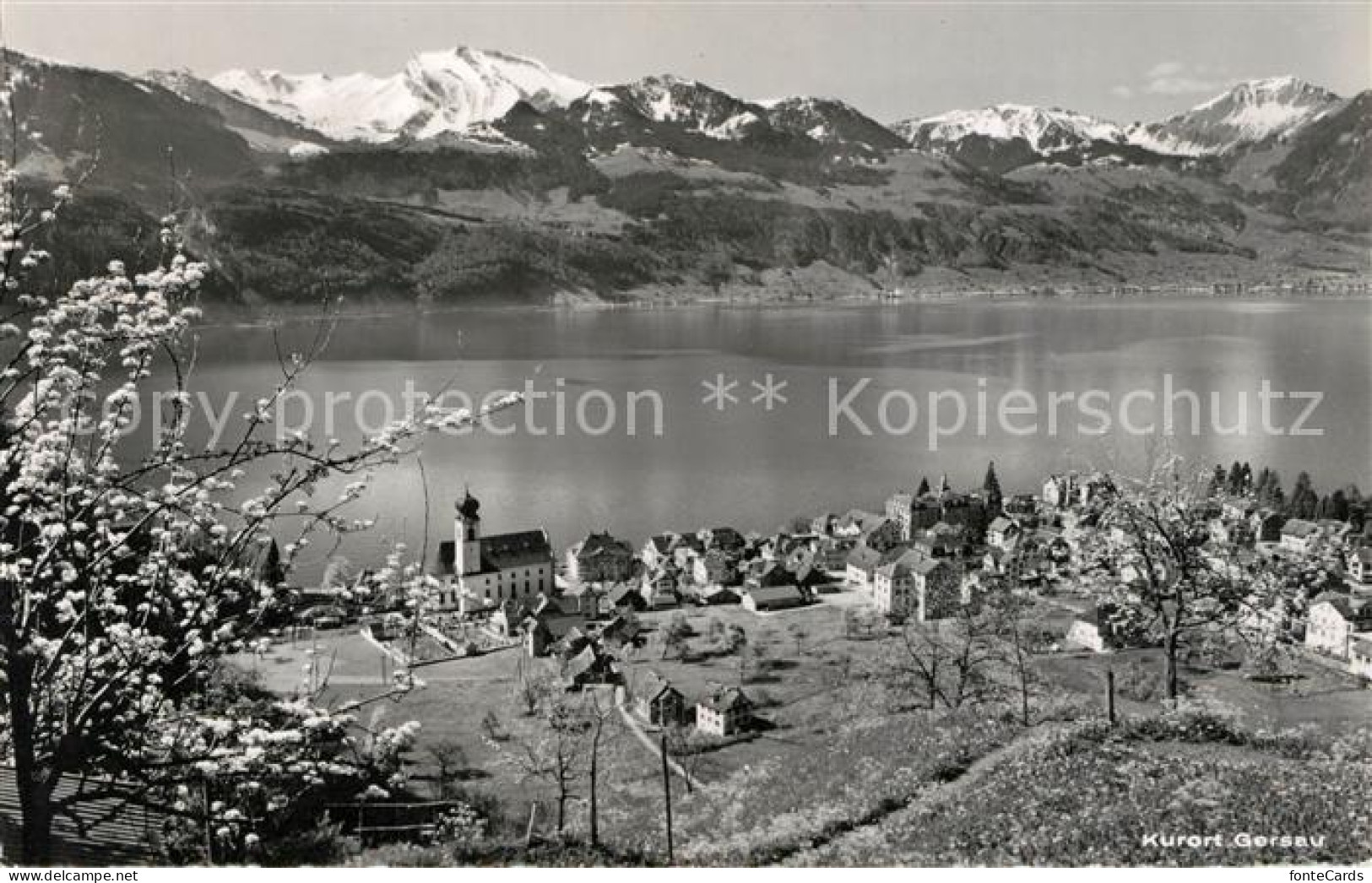 13142984 Gersau Vierwaldstaettersee Panorama Mit Schwalmis Und Buochserhorn Alpe - Autres & Non Classés