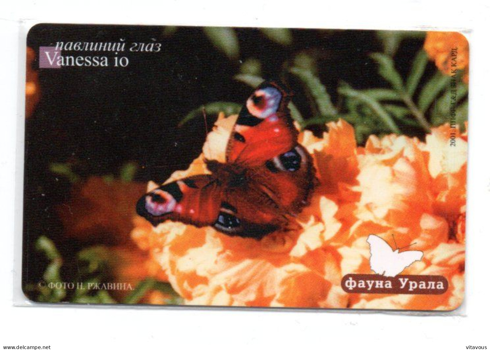 Papillon Butterfly  Télécarte Puce Russie Phonecard (K 269) - Russia