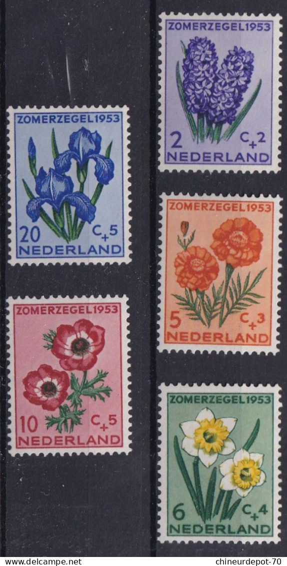 Nederland Zomerzegel 1953 Fleurs Flowers  Neufs Sans Charnières ** - Unused Stamps