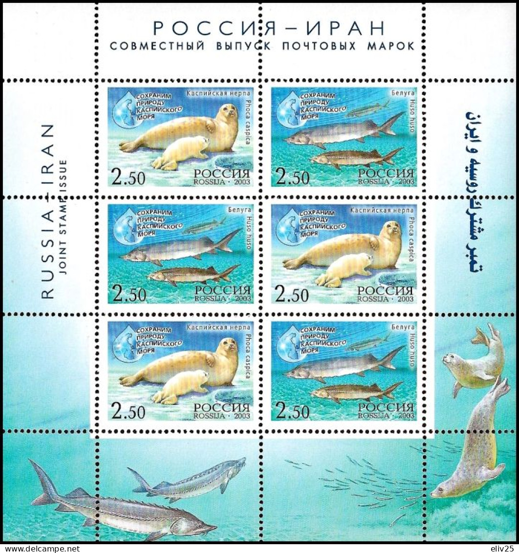 Russia 2003, Nature Conservation On The Caspian Sea - Minisheet MNH - Maritiem Leven