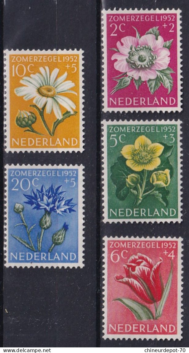Nederland Zomerzegel 1952 Fleurs Flowers  Neufs Sans Charnières ** - Nuovi