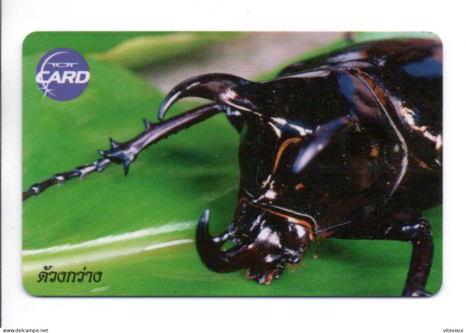 Insecte Télécarte Puce Thaïlande  Phonecard (K 270) - Tailandia