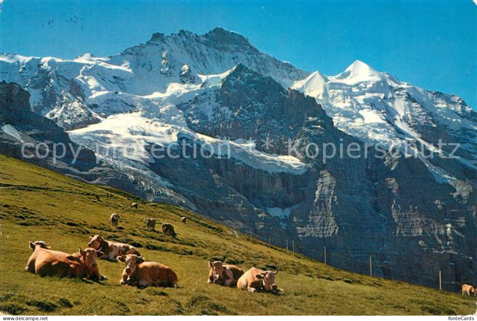 13130053 Jungfrau BE Panorama Jungfrau BE - Other & Unclassified