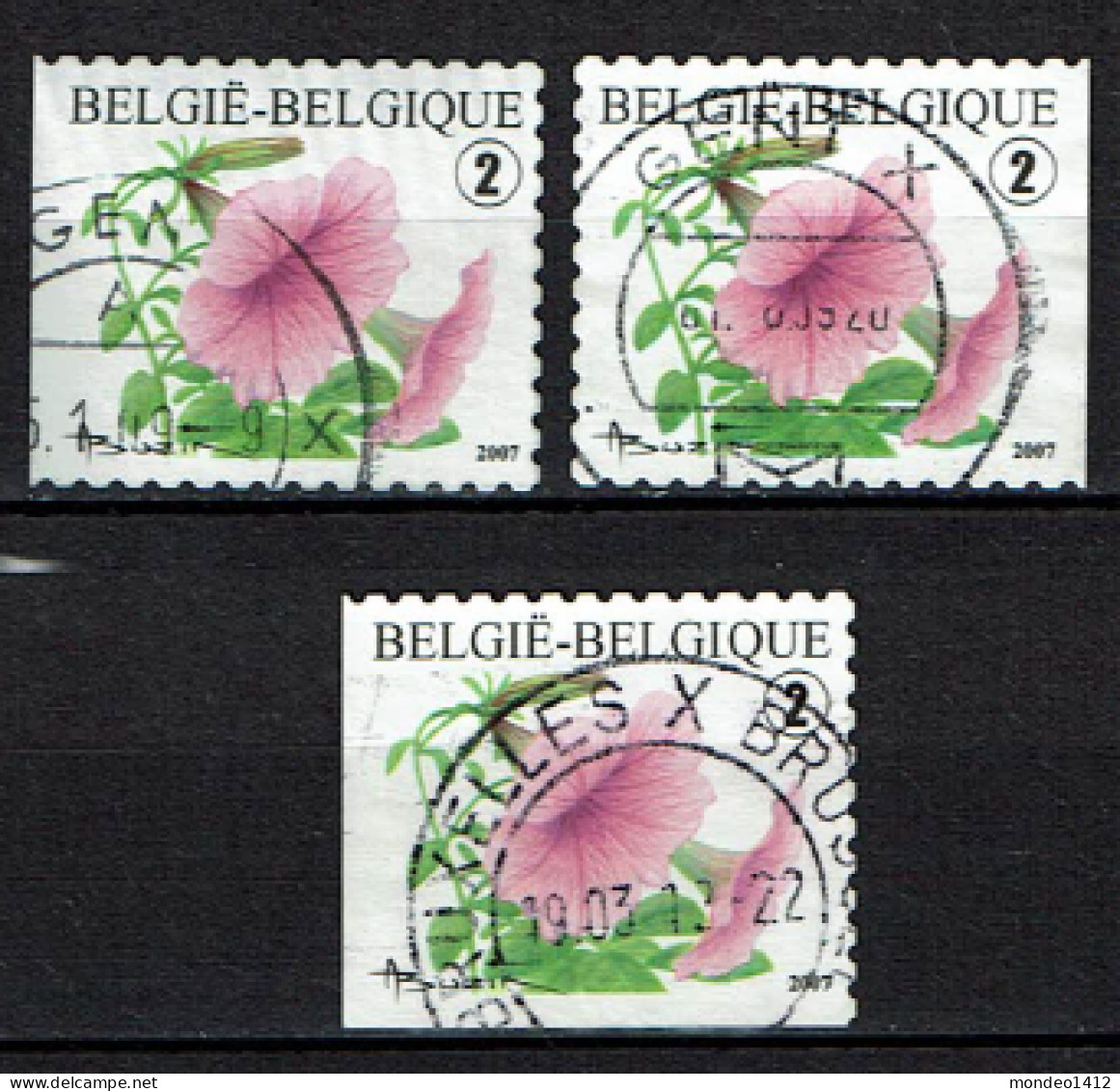 België OBP 3722 - Bloemen, Fleurs Petunia - Uit Boekje B81 - Oblitérés