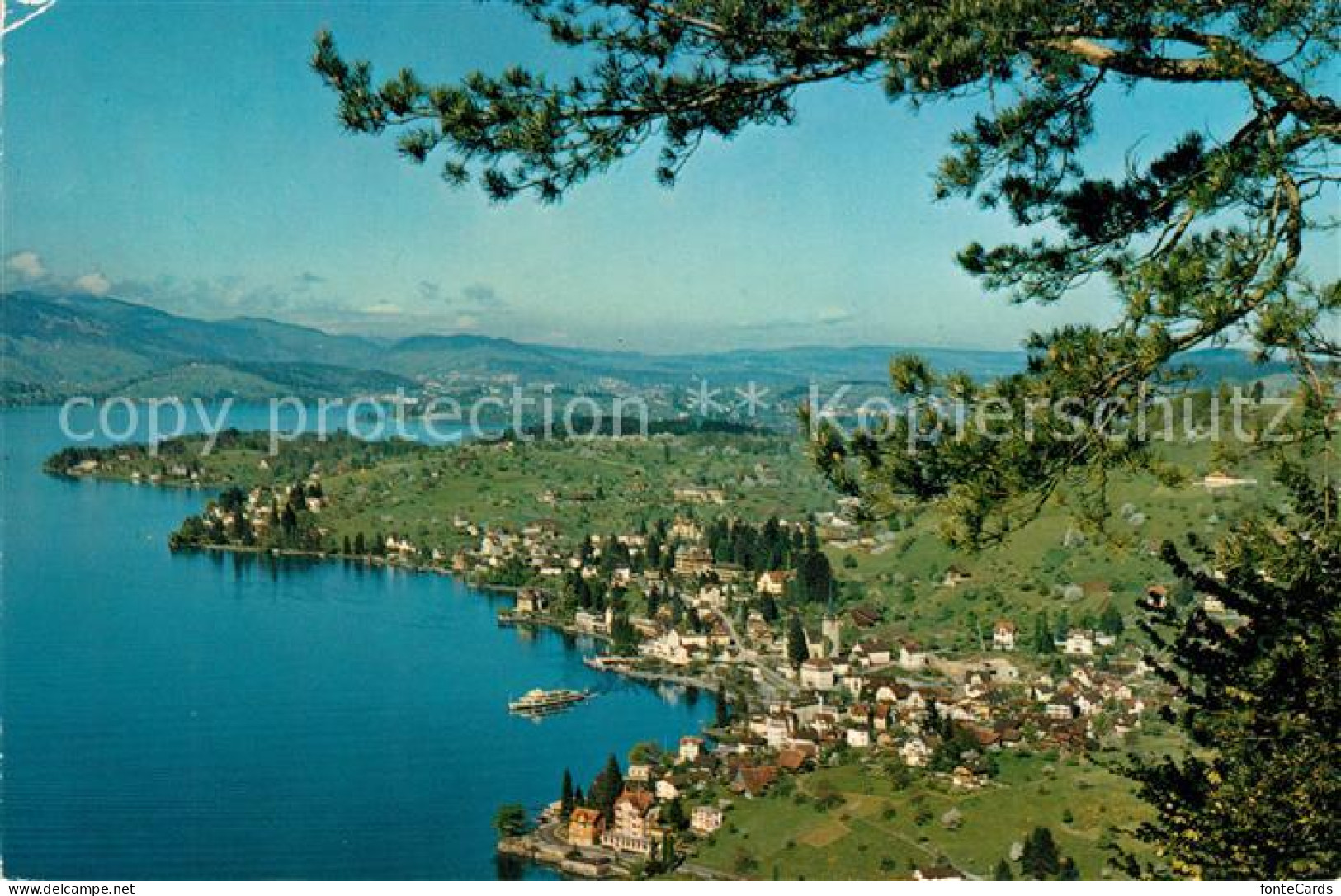 13130042 Weggis Vierwaldstaettersee Hertenstein Weggis Vierwaldstaettersee - Sonstige & Ohne Zuordnung