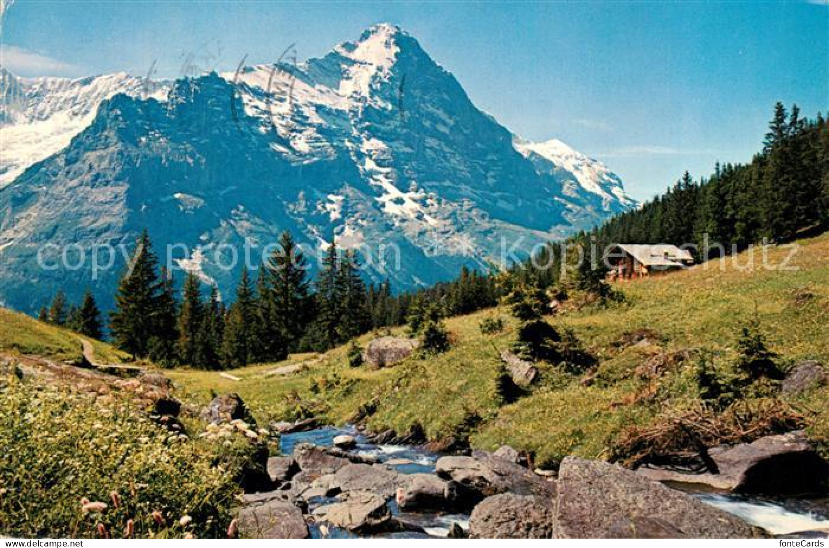 13127882 Grindelwald Firstgebiet Eiger Grindelwald - Altri & Non Classificati