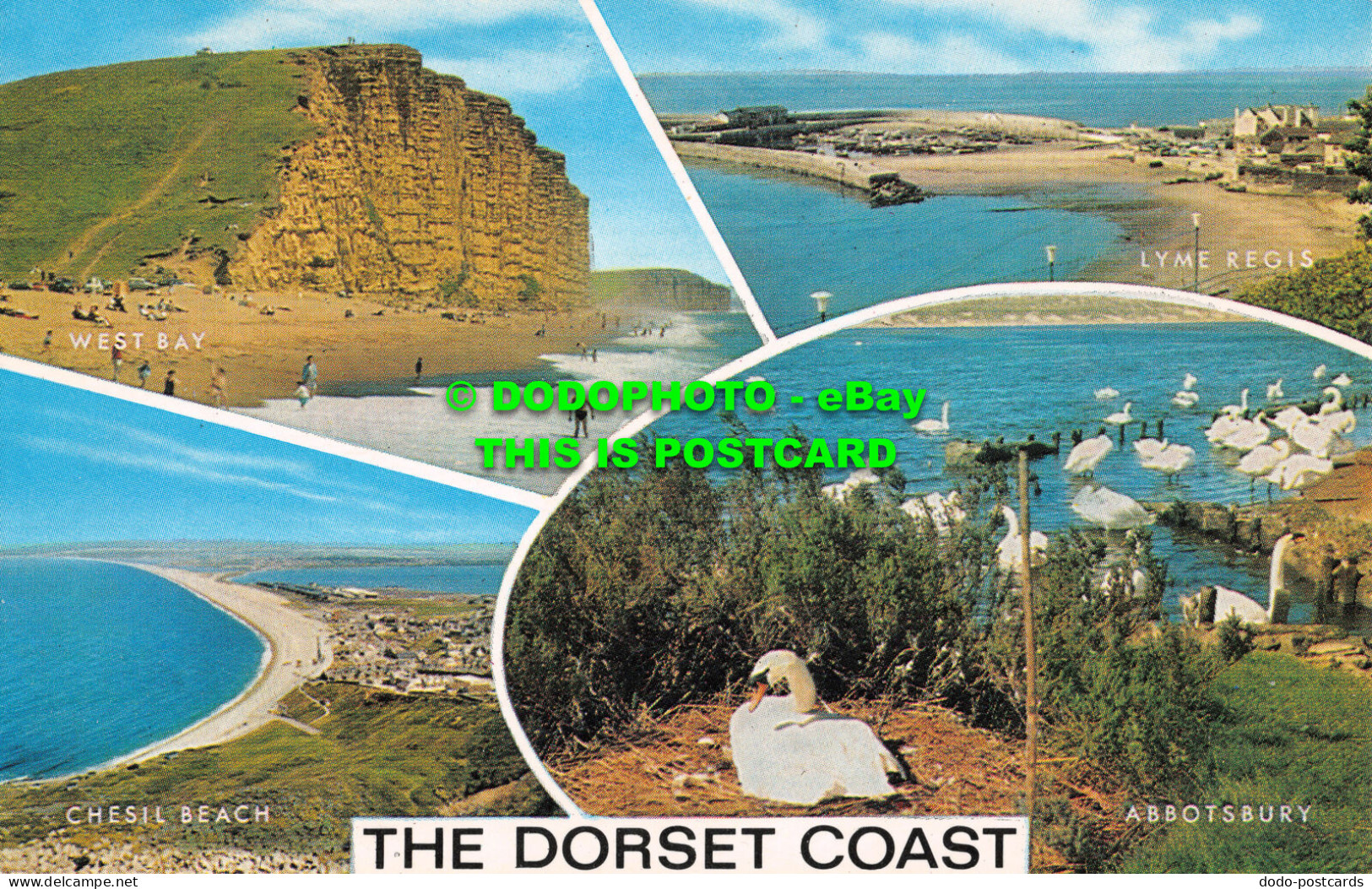 R526246 The Dorset Coast. Salmon. Multi View - World