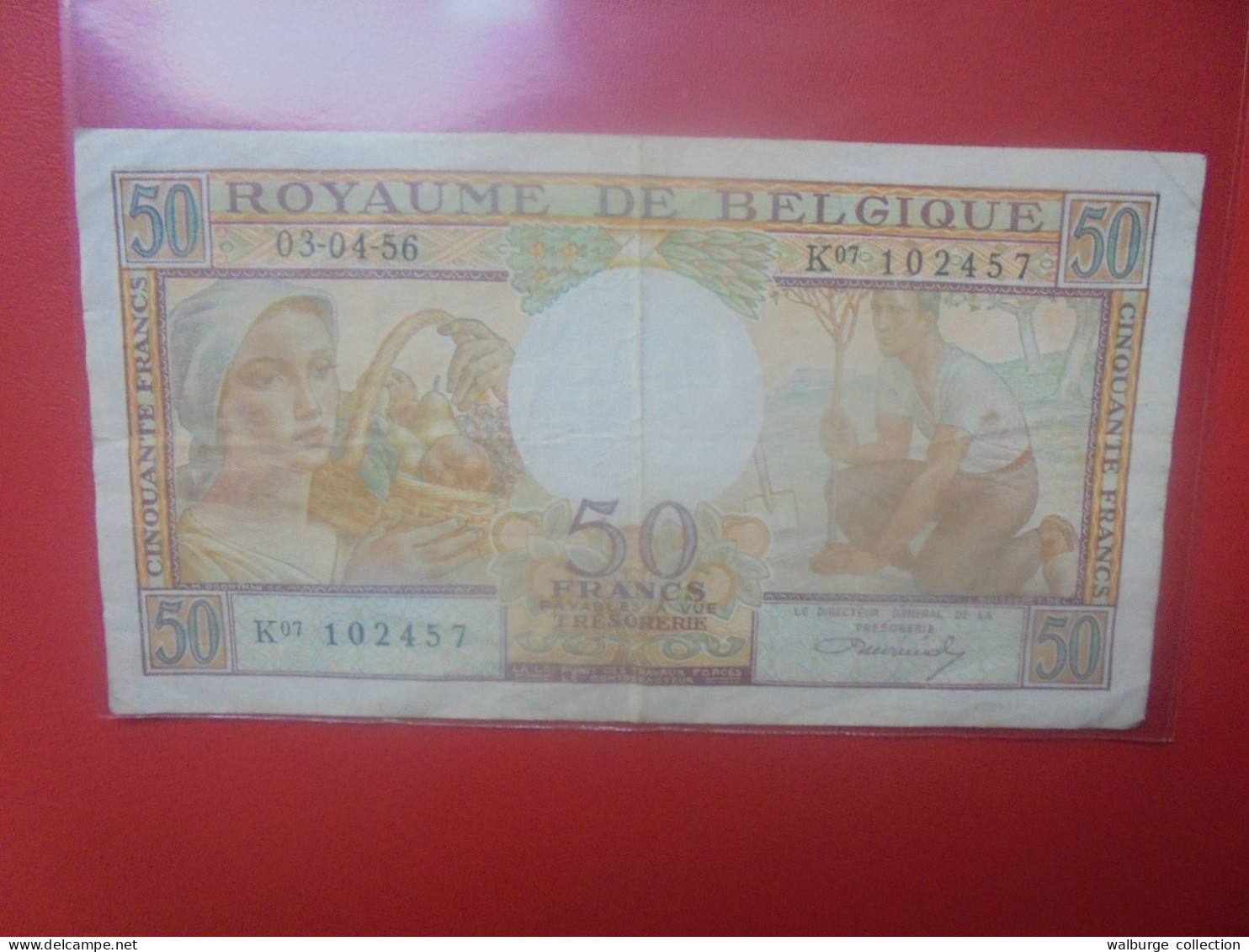 BELGIQUE 50 FRANCS 1956 Circuler (B.33) - 50 Franchi