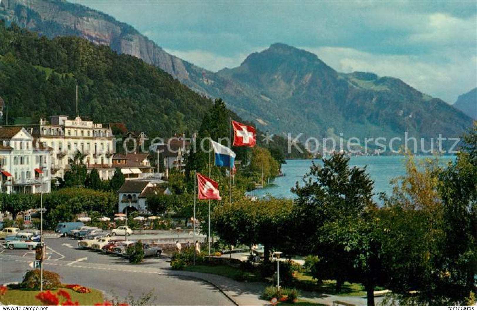 13123573 Weggis Vierwaldstaettersee Teilansicht Kurort Mit Rigi Weggis Vierwalds - Sonstige & Ohne Zuordnung