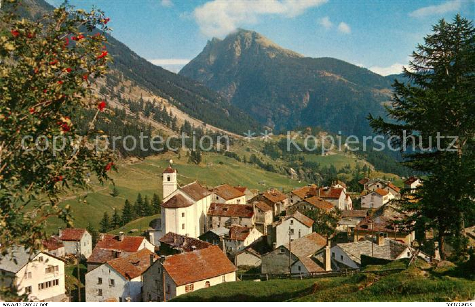 13123514 Simplon Dorf Teilansicht Mit Kirche Alpenpanorama Im Fruehling Simplon  - Autres & Non Classés