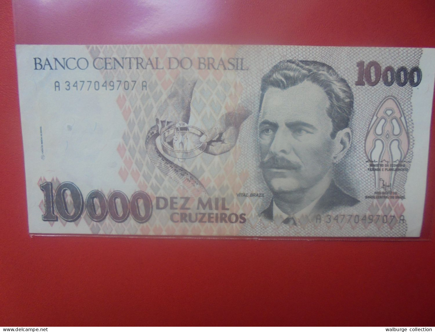 BRESIL 10.000 CRUZEIROS 1991-93 Circuler (B.33) - Brasilien