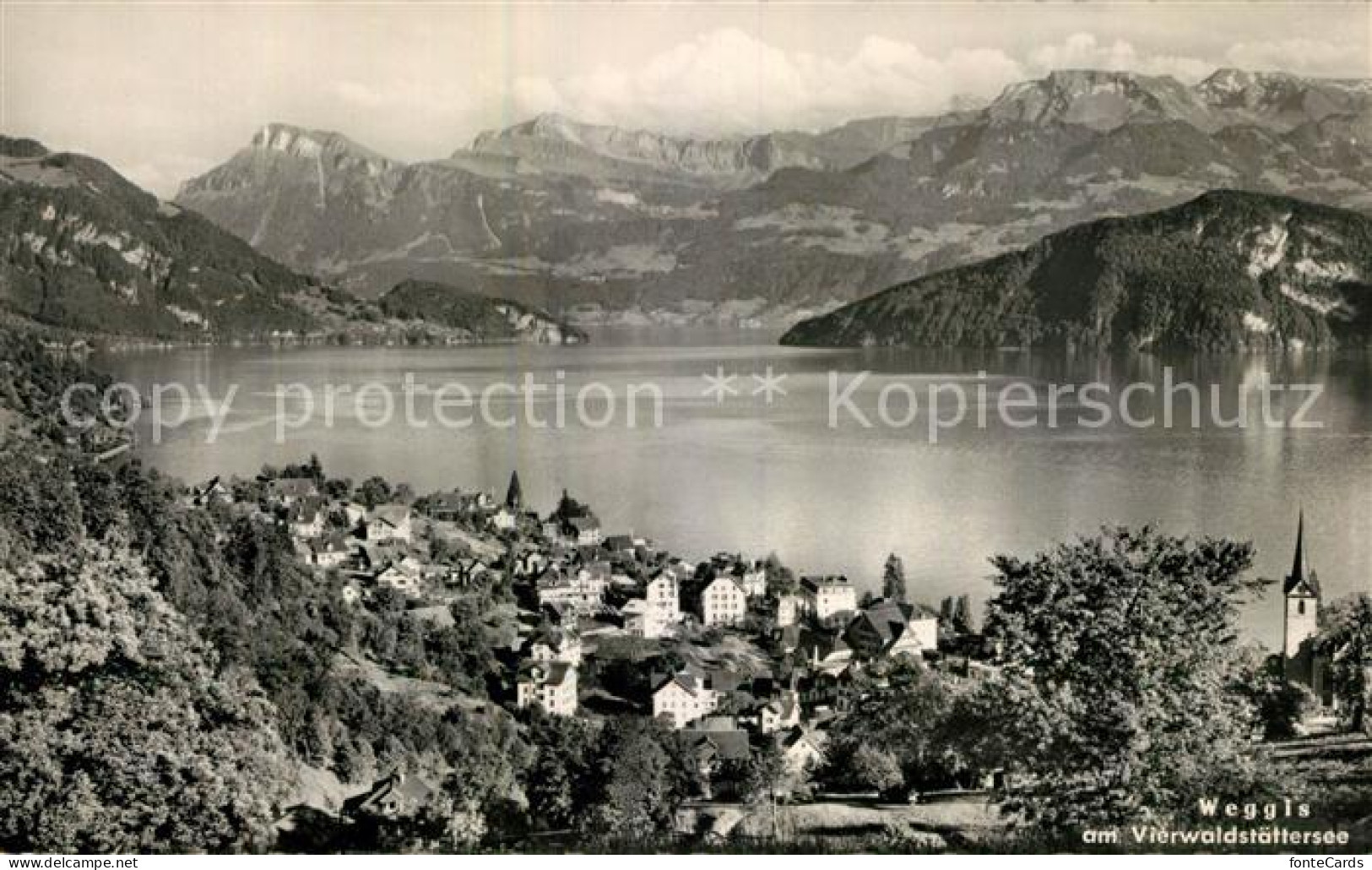 13118118 Weggis Vierwaldstaettersee Panorama Weggis Vierwaldstaettersee - Sonstige & Ohne Zuordnung