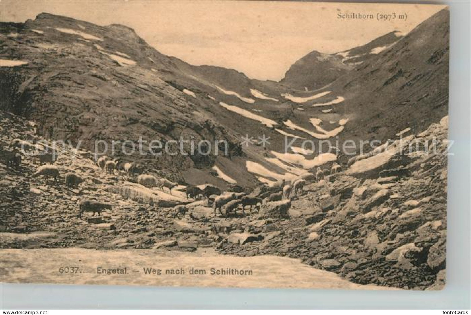 13114831 Muerren BE Landschaftspanorama Engetal Weg Nach Dem Schilthorn Berner A - Andere & Zonder Classificatie