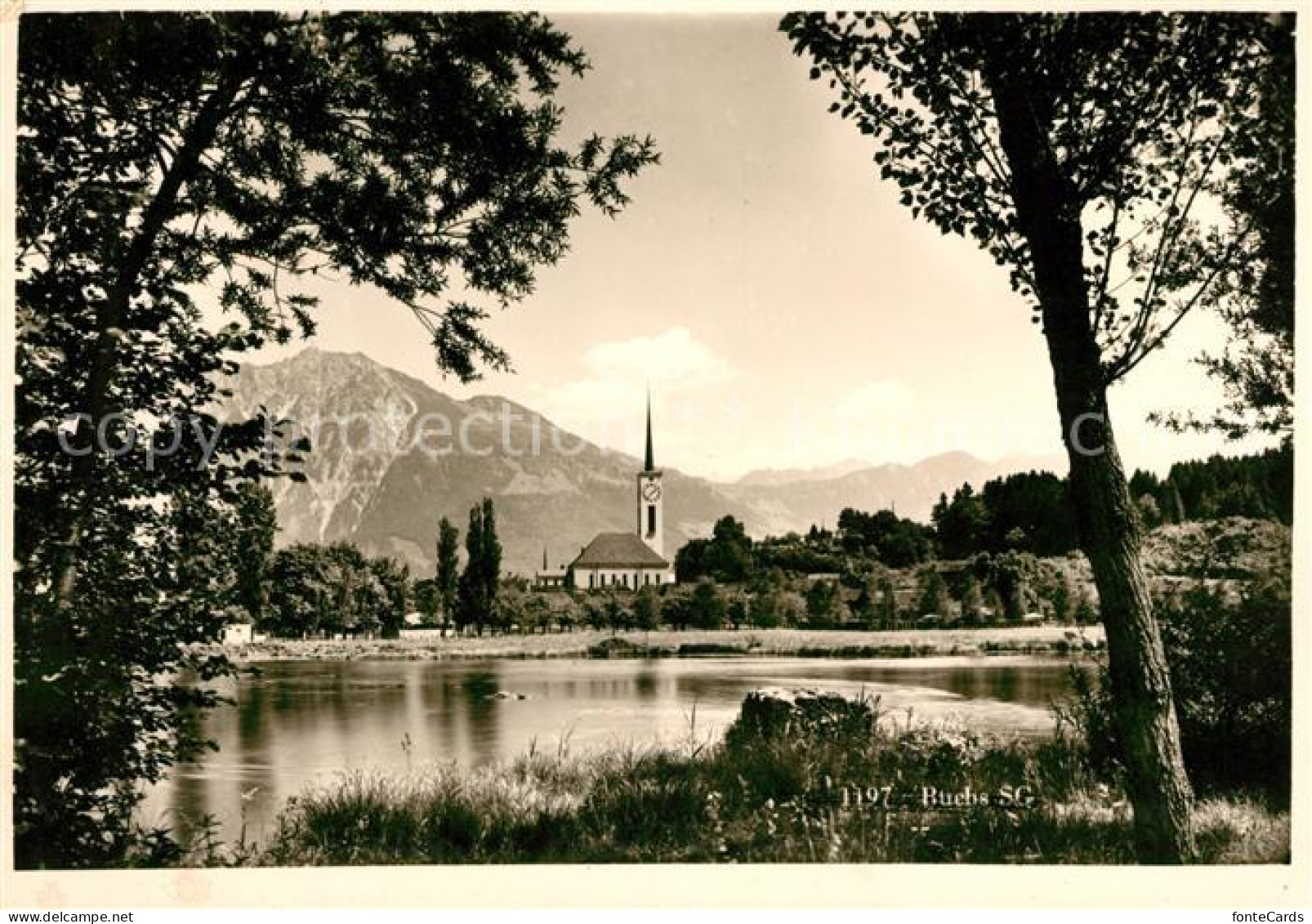 13114820 Buchs SG Uferpartie Am Rhein Blick Zur Kirche Alpen Buchs SG - Sonstige & Ohne Zuordnung