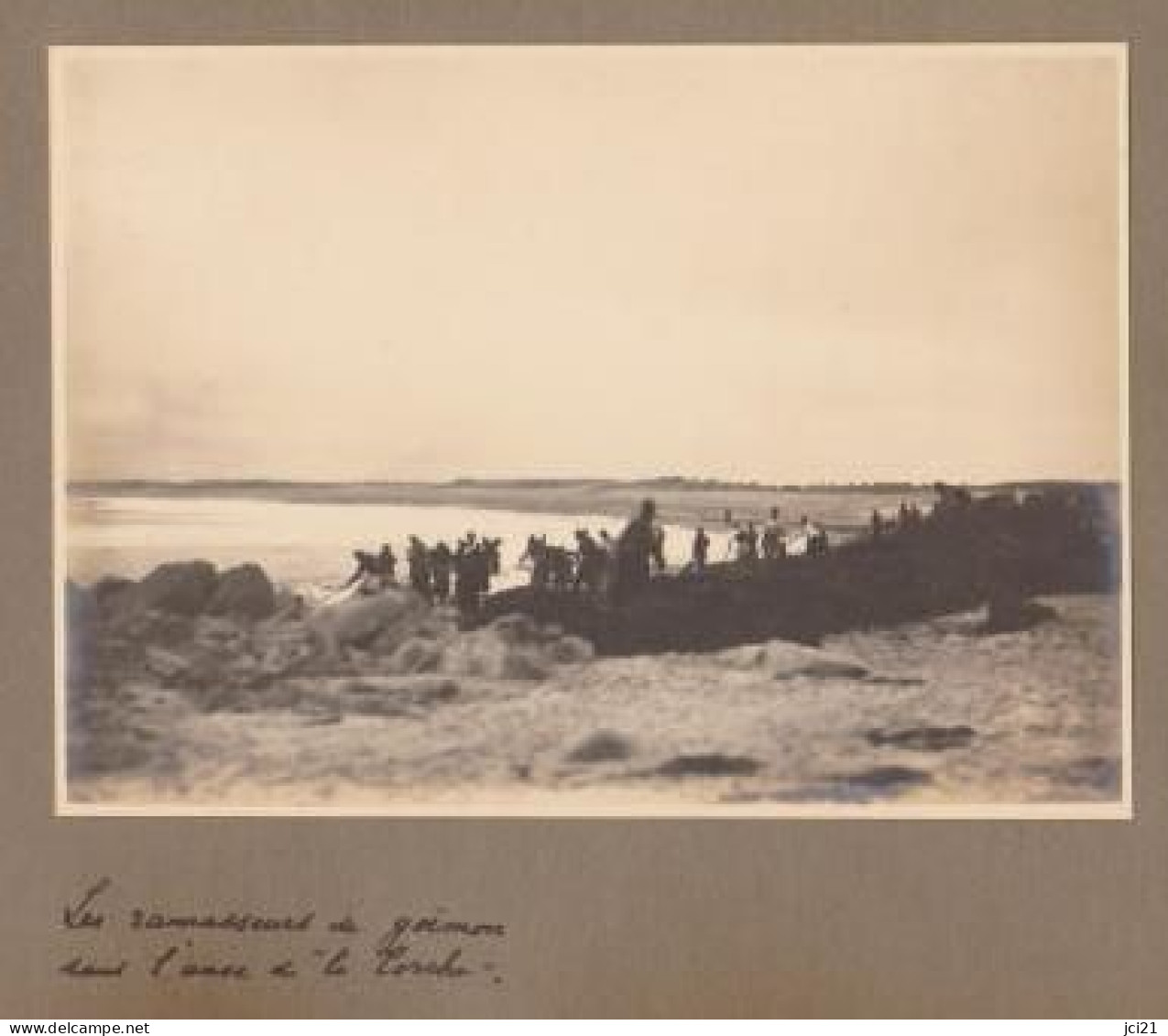 2 PHOTOS ORIGINALES " Le Ramassage Du Goémon Dans L'anse De "La Torche" Et Le Rocher "La Torche" 1928/29 _PHOT090A ET B - Luoghi