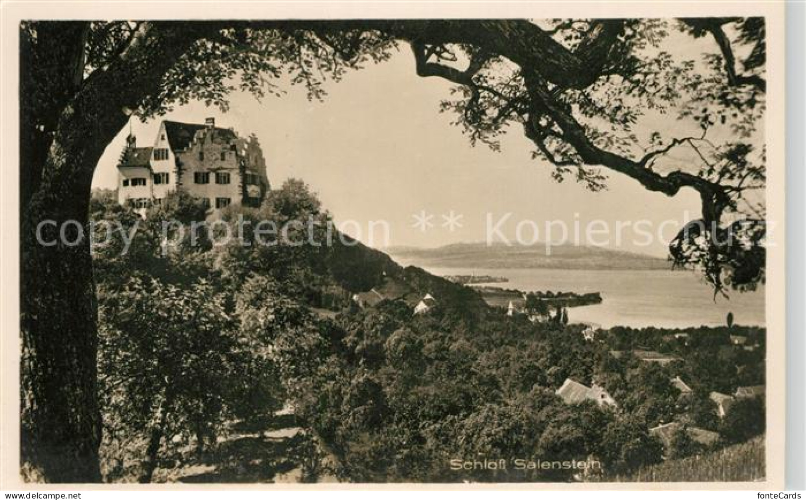 13114690 Salenstein TG Schloss Blick Auf Bodensee Salenstein - Sonstige & Ohne Zuordnung