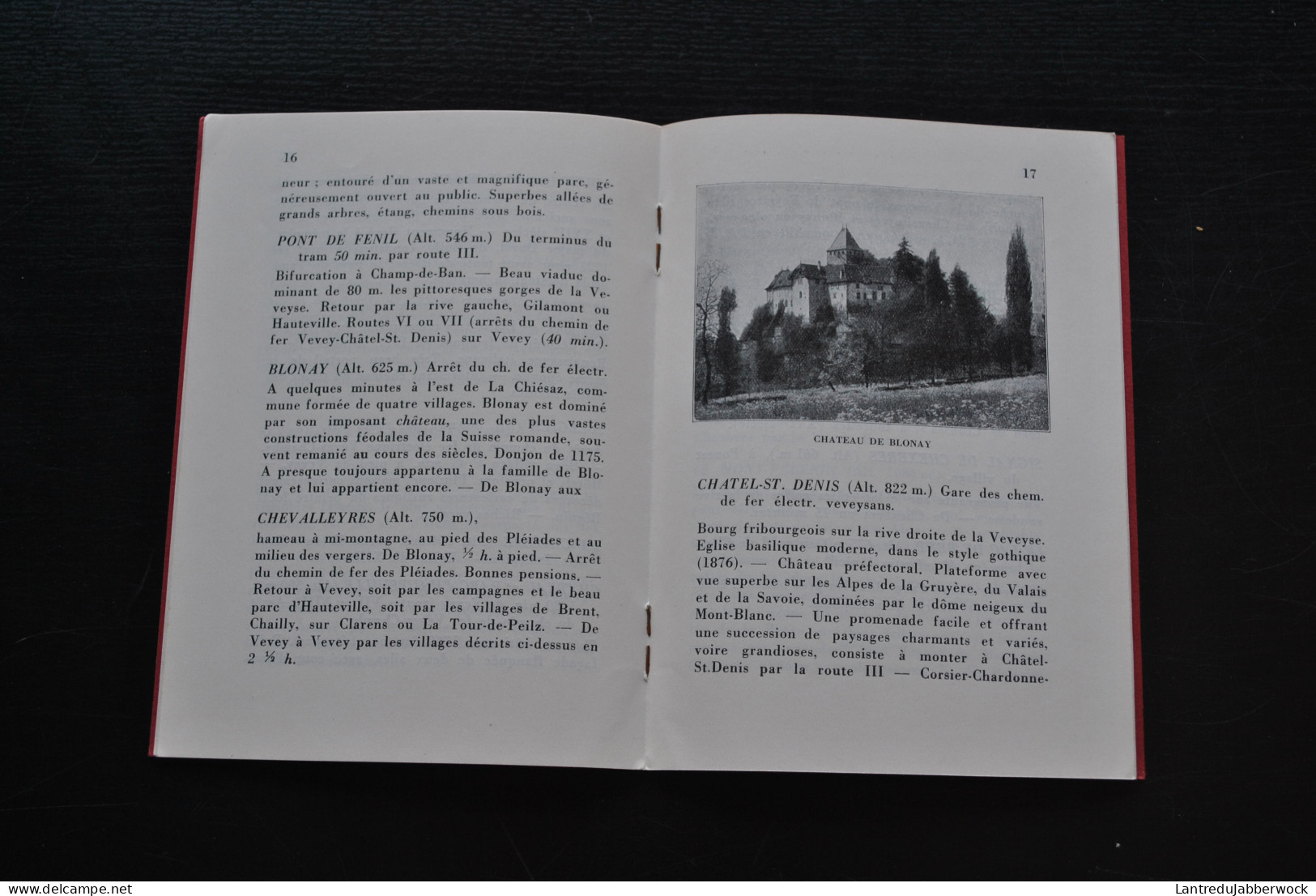 VEVEY Et Ses Environs Guide Du Promeneur Et De L'excursionniste Plan Hôtels SUISSE Lausanne Montreux Lac LEMAN Simplon - Reiseprospekte