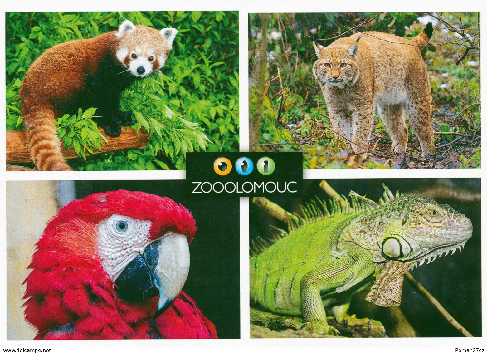 ZOO Olomouc, Czech Rep. - Panda, Macaw, Lynx, Iguana - Tschechische Republik