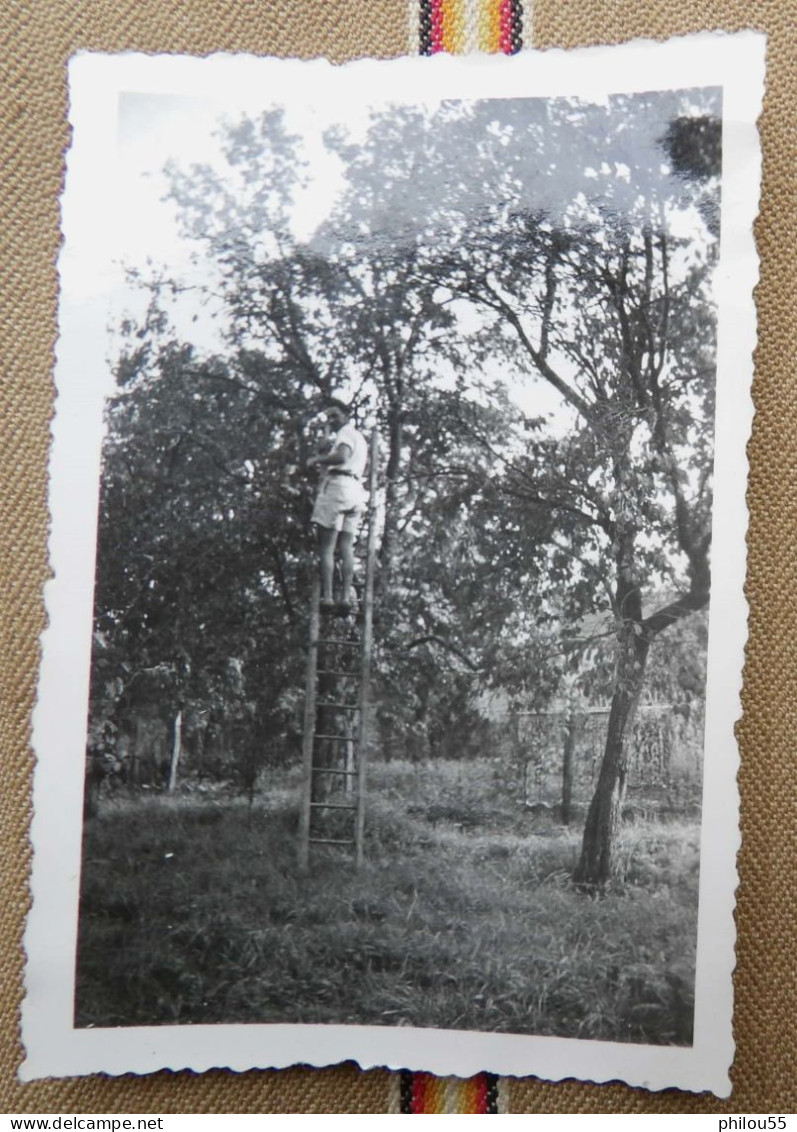 Lot De 6 Photo 55 RANZIERES Anime St Mihiel Troyon Voiture Garde Chasse Ceuillette - Lieux