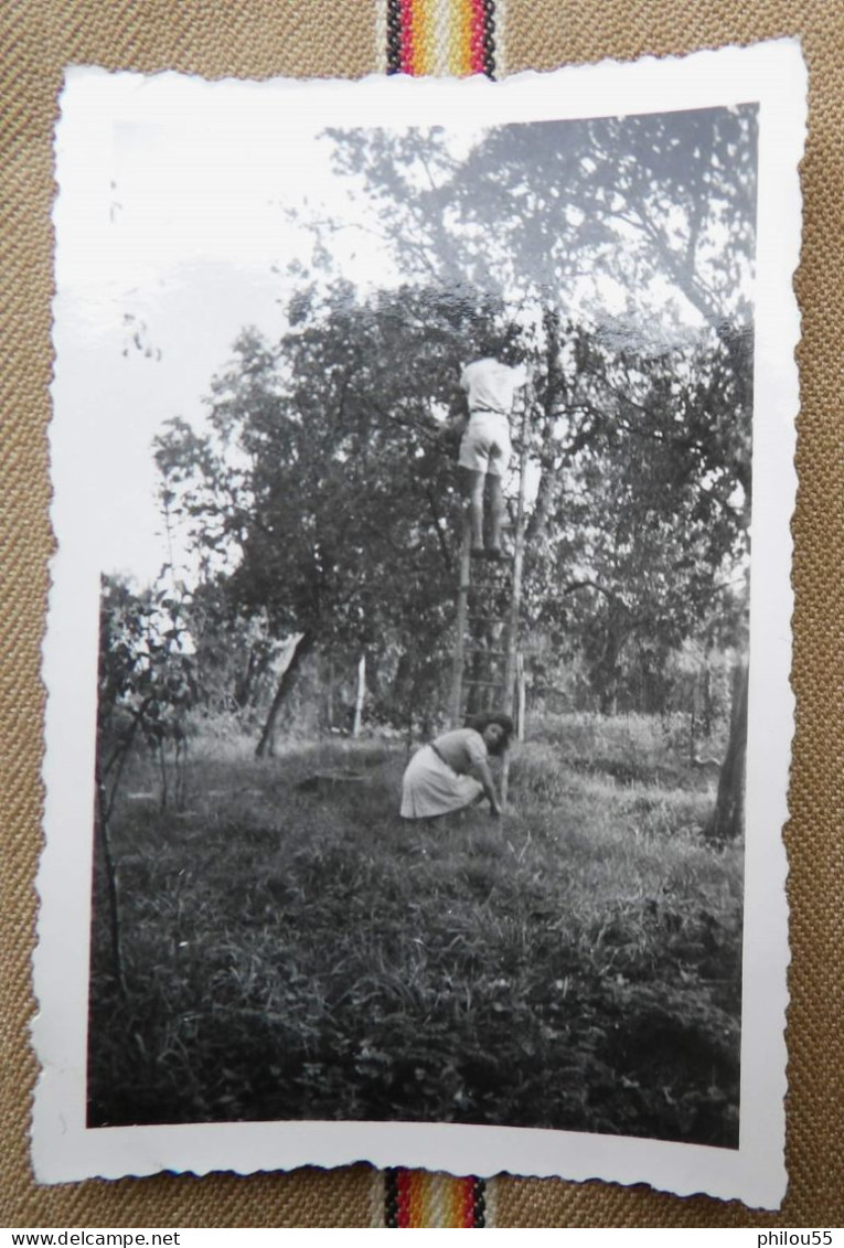 Lot De 6 Photo 55 RANZIERES Anime St Mihiel Troyon Voiture Garde Chasse Ceuillette - Luoghi