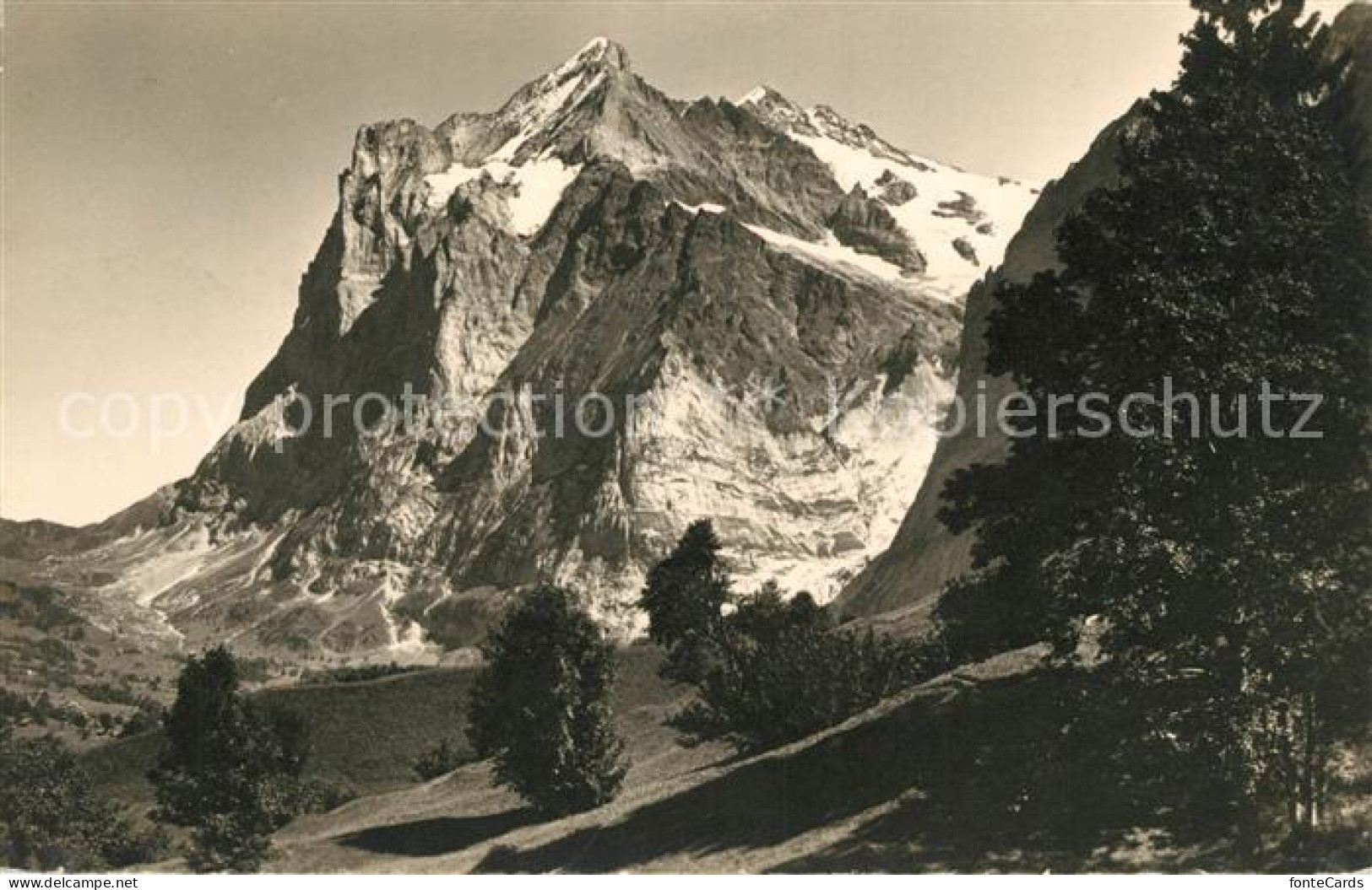 13114148 Grindelwald Wetterhorn Gebirgspanorama Berner Alpen Grindelwald - Autres & Non Classés