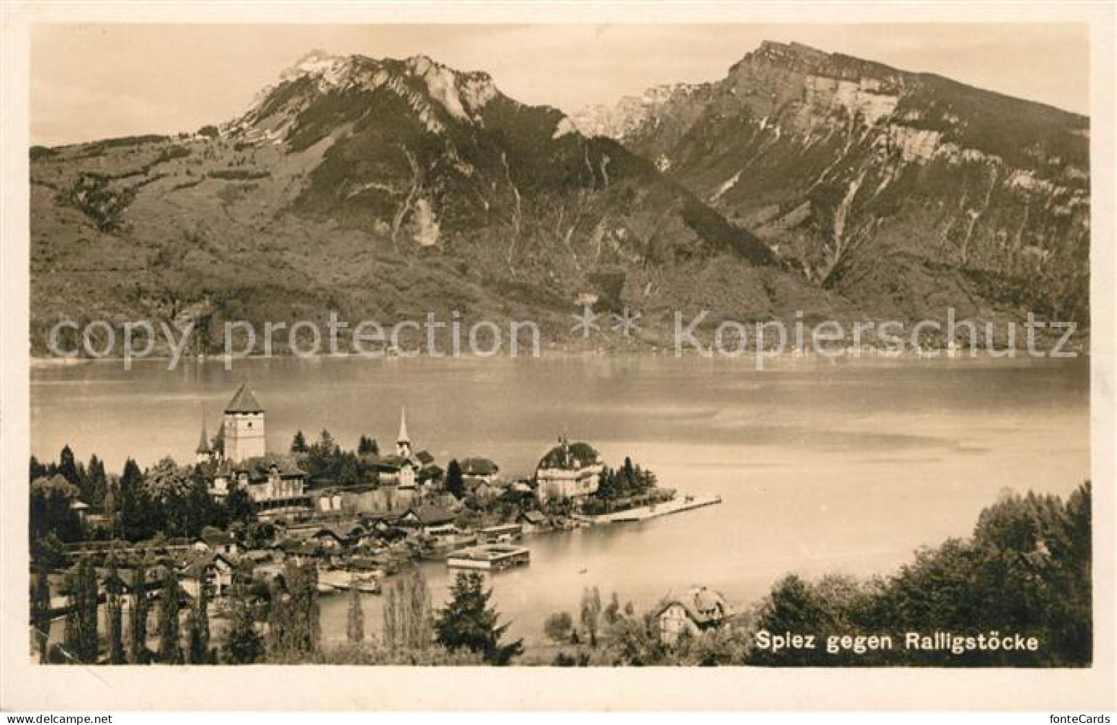 13113928 Spiez BE Panorama Thunersee Gegen Ralligstoecke Alpen Spiez - Sonstige & Ohne Zuordnung