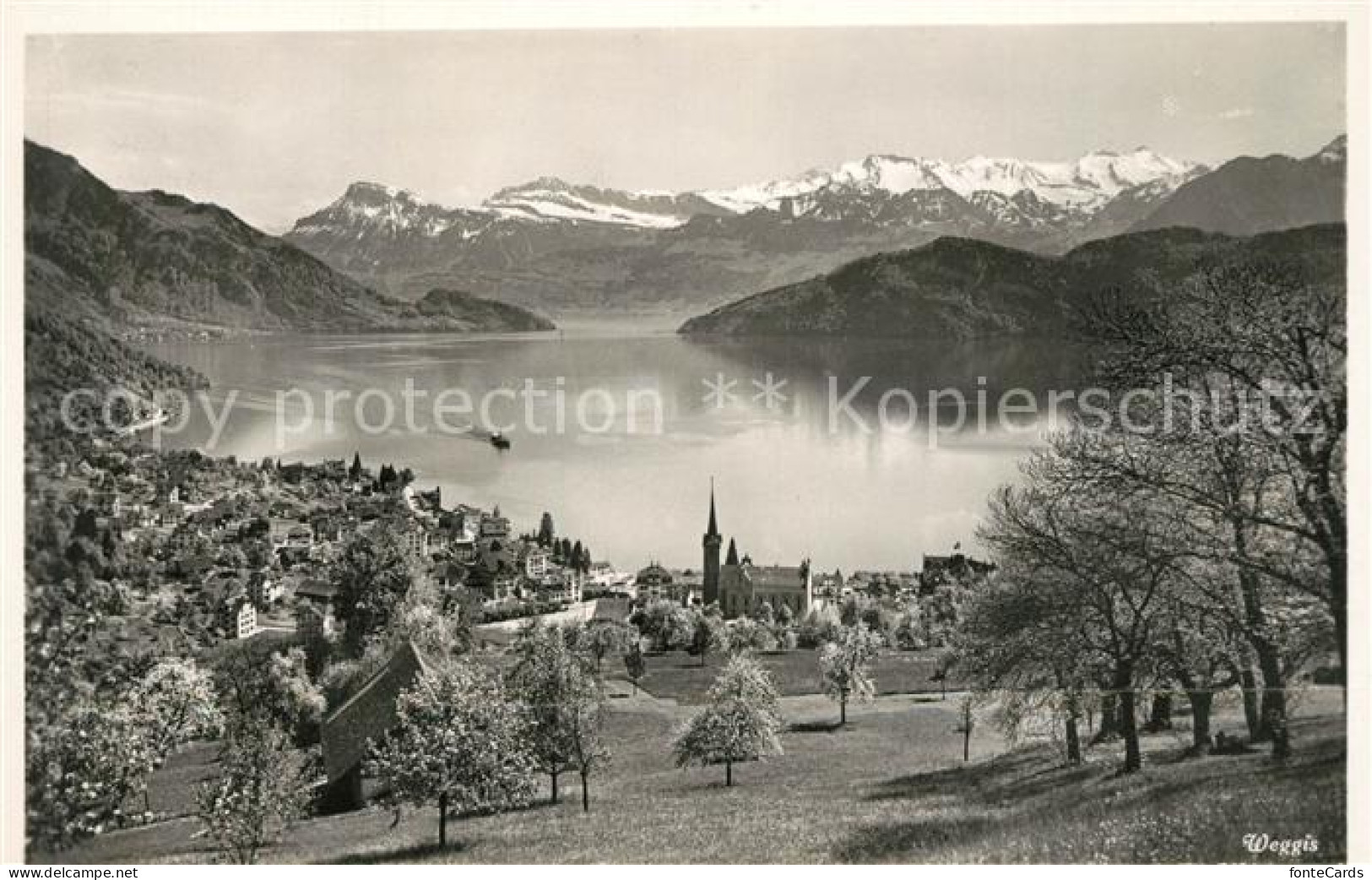 13113852 Weggis Vierwaldstaettersee Landschaftspanorama Alpen Weggis - Autres & Non Classés