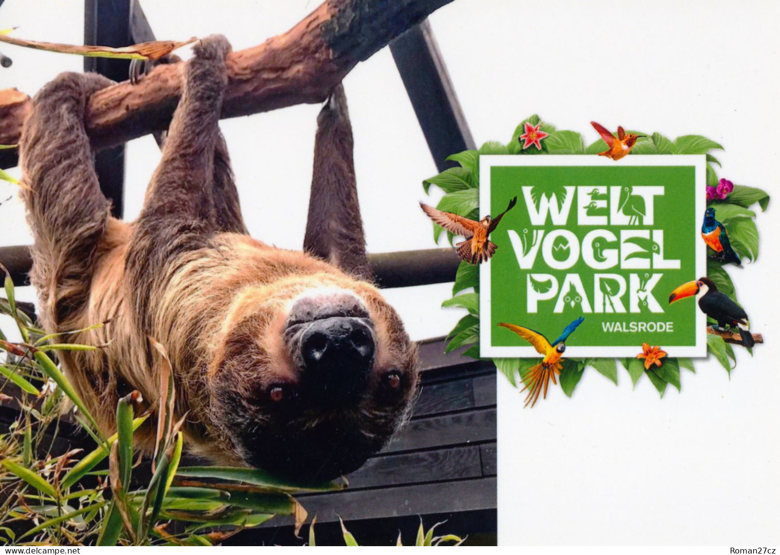 Vogelpark Walsrode (Bird Park), Germany - Sloth - Walsrode