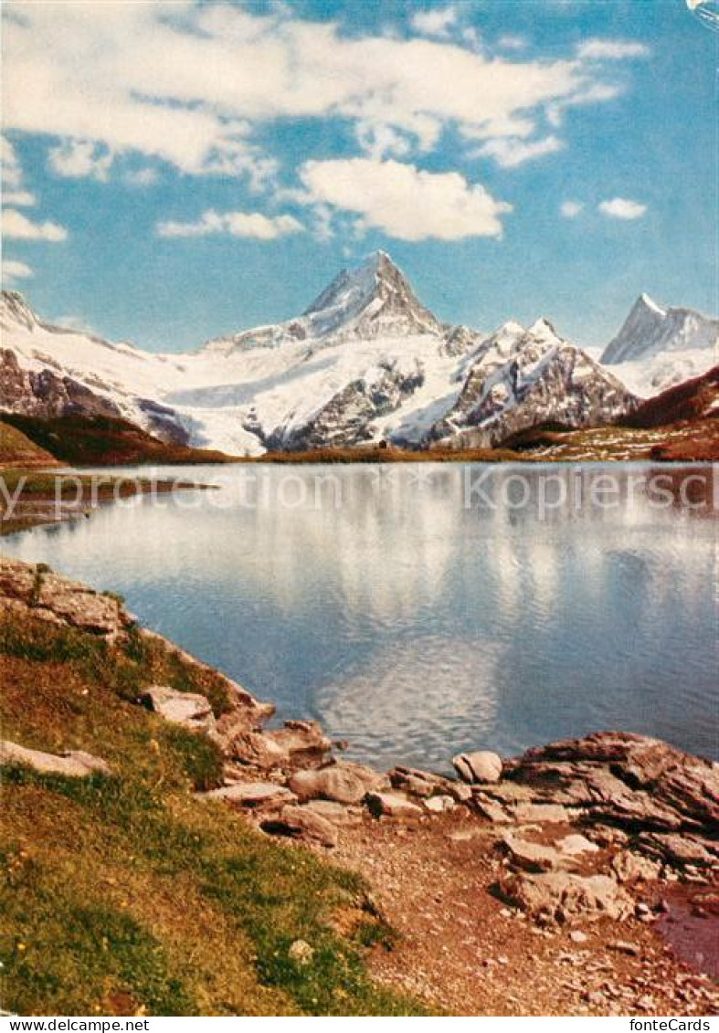 13106590 Bachalpsee Schreckhorn Finsteraarhorn Bachalpsee - Autres & Non Classés