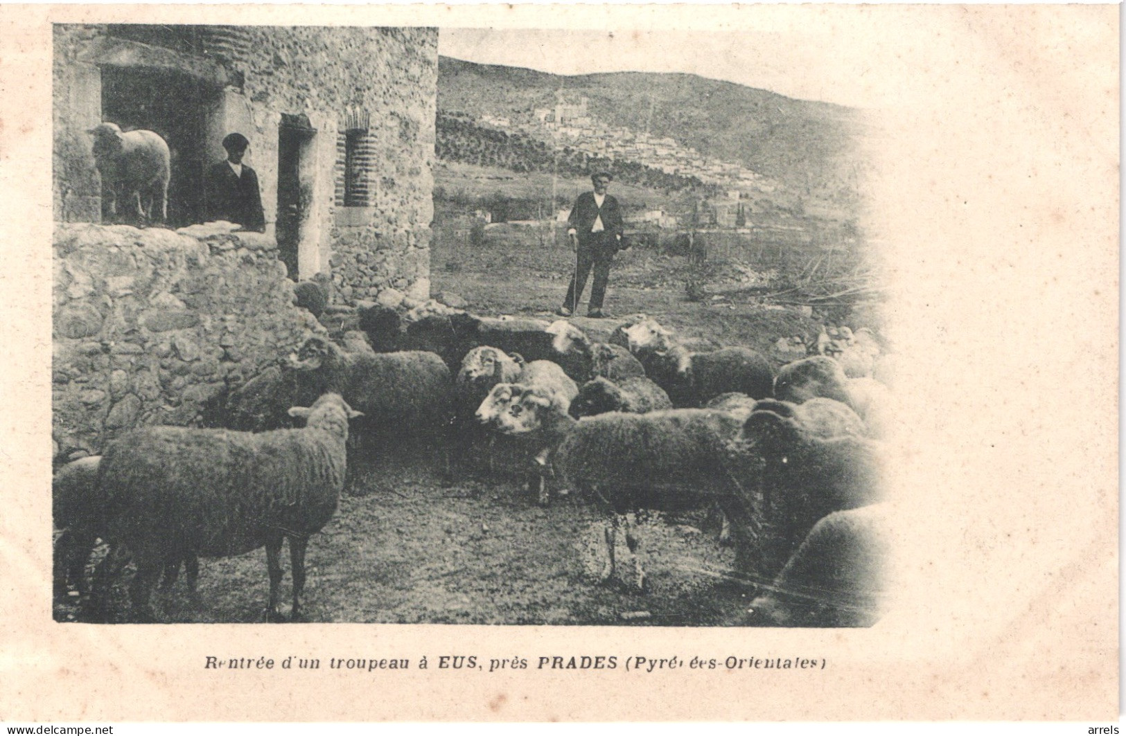 FR66 EUS - Précurseur - Rentrée D'un Troupeau - Berger Et Troupeau De Moutons - Animée Belle - Other & Unclassified