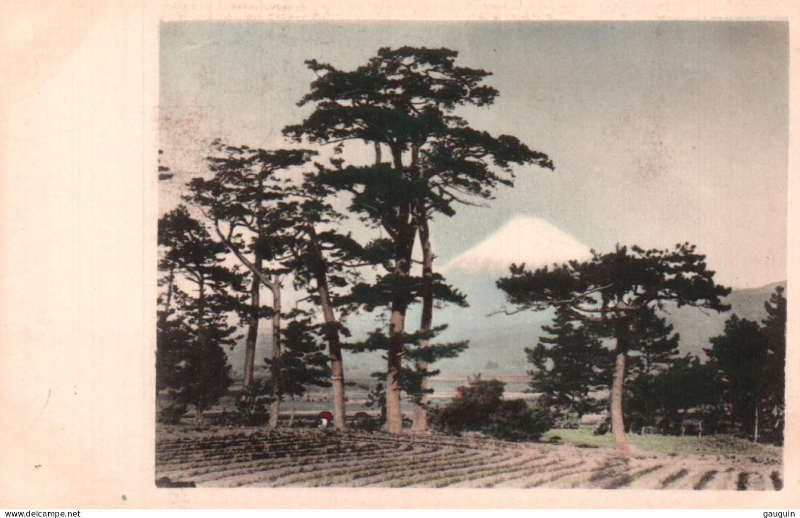 CPA - MONT FUJI (côte Sud De L'île De Honshū) ... LOT 2 CP - Autres & Non Classés