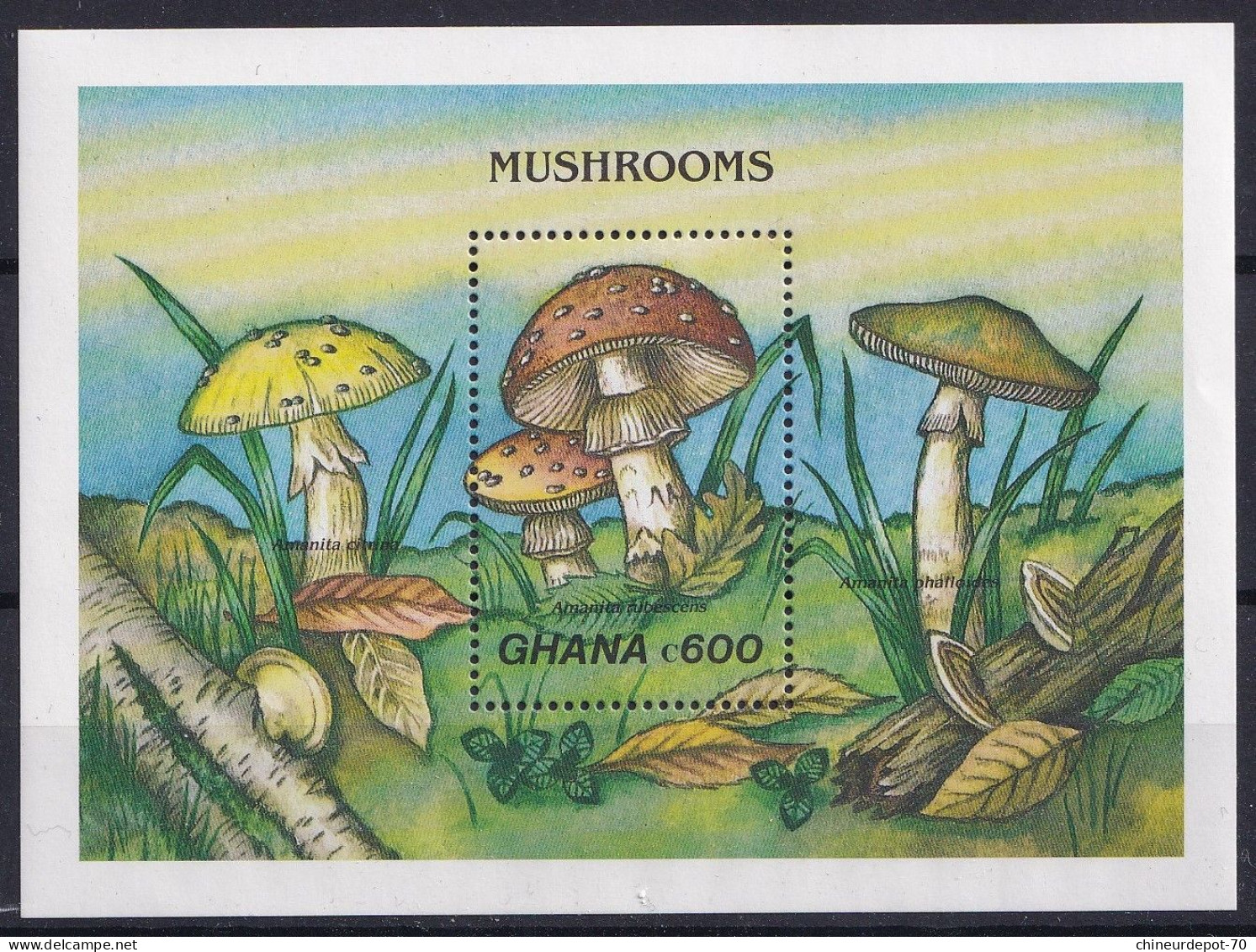 Bloc Mushrooms Champignons Ghana Neufs Sans Charnières ** - Ghana (1957-...)