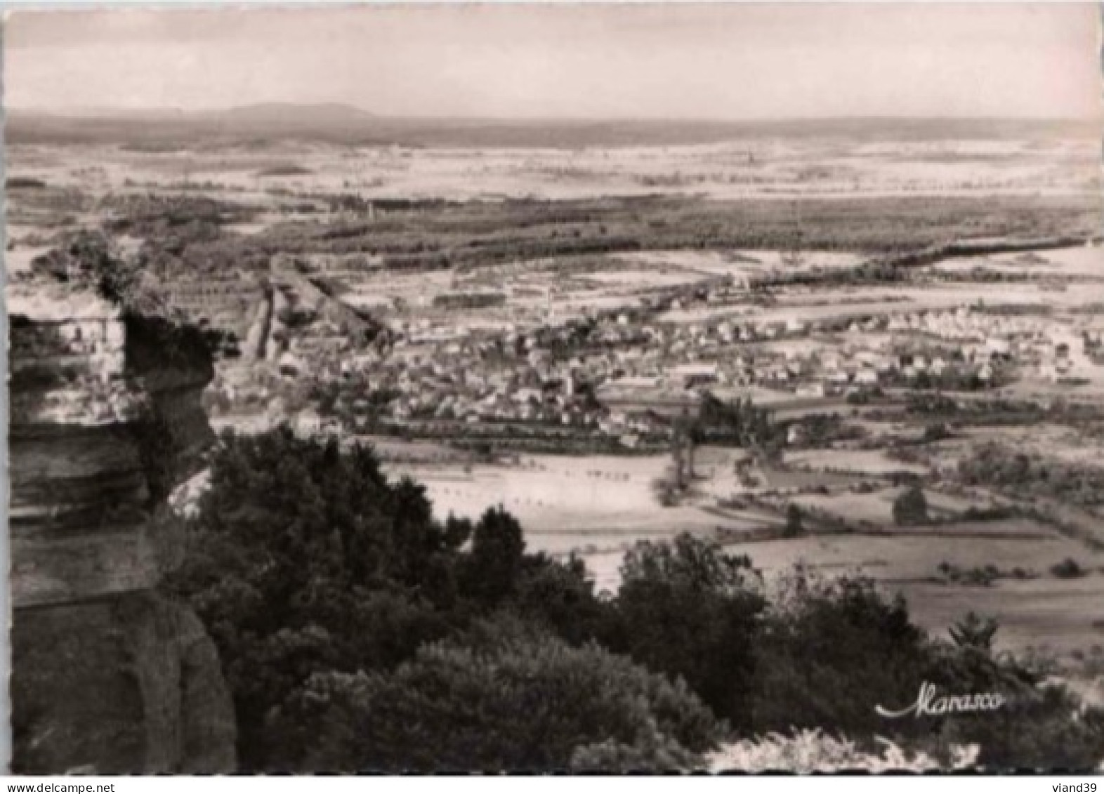 SAVERNE -   Ville Des Roses. Vue Générale Vue Du Haut-Barr.   -   Non Circulée   Photo Véritable. - Saverne