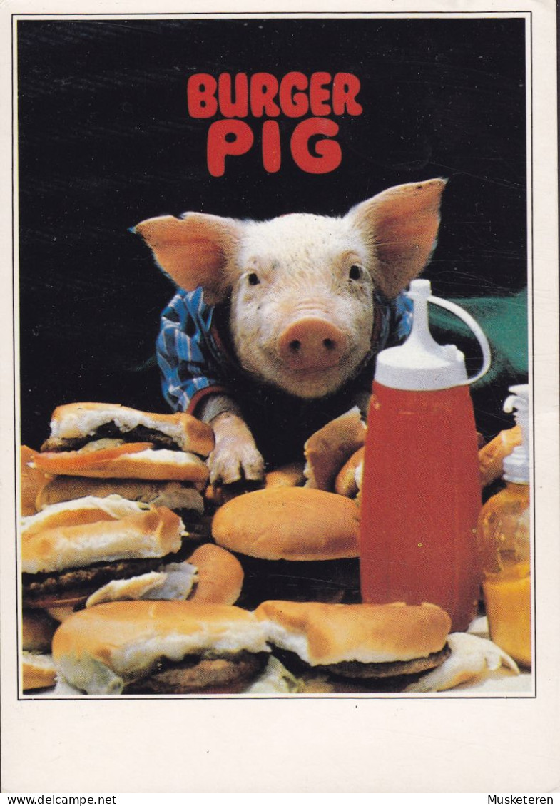 Spain PPC Burger Pig 1994 To RUNGSTED KYST Denmark (2 Scans) - Cochons