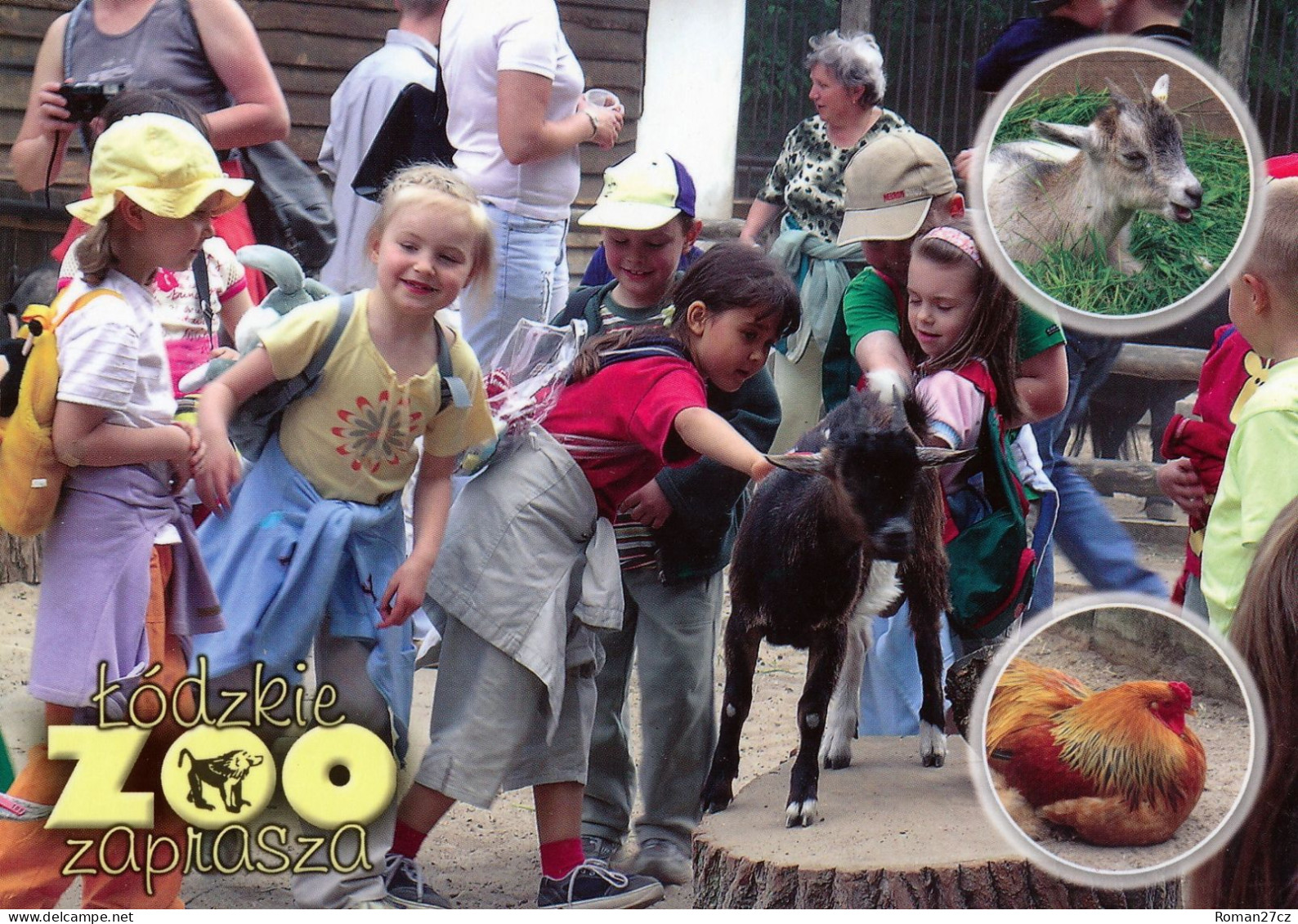 ZOO Lodz, Poland - Children's Zoo - Goat, Chicken - Pologne