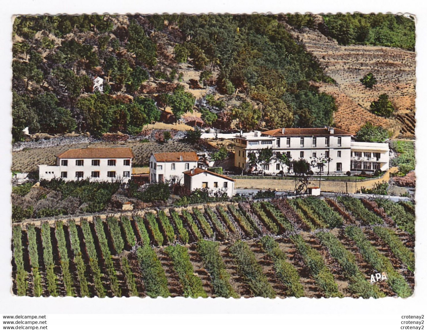 66 ARLES SUR TECH Entre Céret Et Prats De Mollo N°120 Le Château Bleu Maison De Repos Des Anciens Prisonniers De Guerre - Ceret