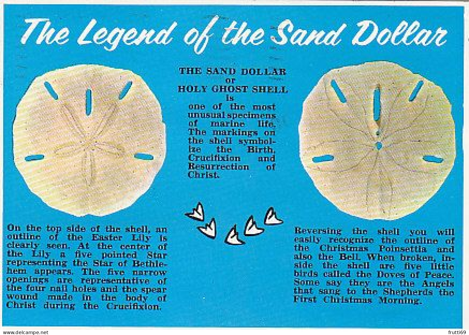 AK 215301 USA - Florida - The Legend Of The Sand Dollar - Sonstige & Ohne Zuordnung